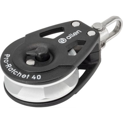 Auto & Switchable Ratchets