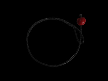 Hartley Boats Byte Clew Tie Down